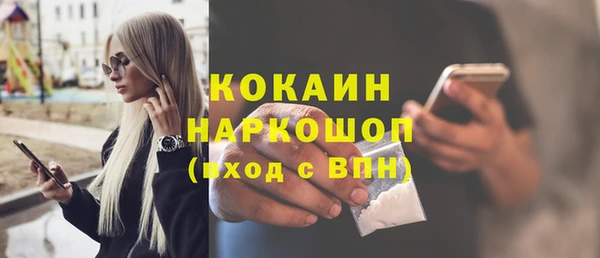 сатива Аркадак