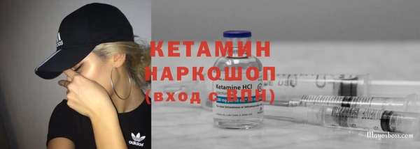 сатива Аркадак