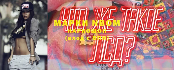сатива Аркадак