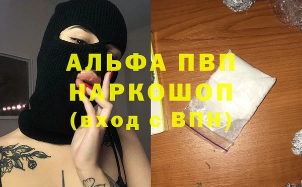 сатива Аркадак