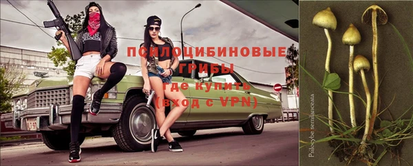 трава Арсеньев