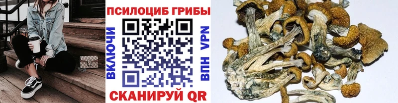 закладки  Магас  Псилоцибиновые грибы мухоморы 